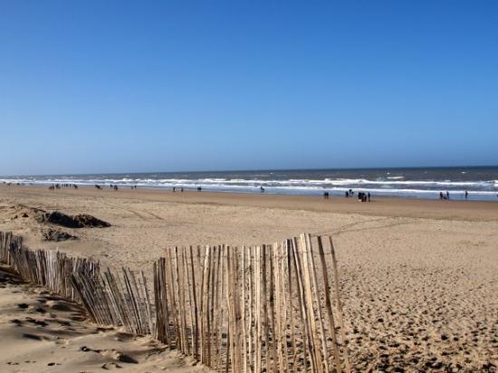 Nearby Beaches