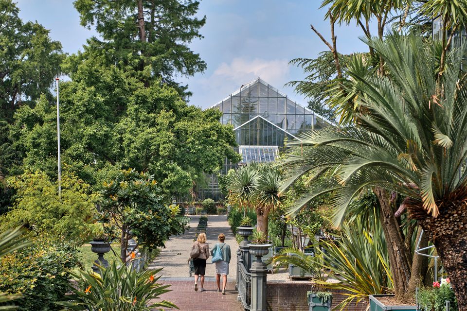 Hortus Botanicus Leiden